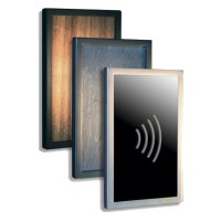 Paxton 361 Architectural Proximity Reader Insert - Wood