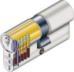 Cylinder Cutaway