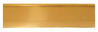 Asec Victorian Door Letter Box Tidy Polished Brass