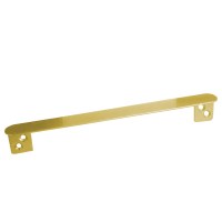 Asec Lock Guard Anti Thurst Plate in Gold