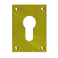 Souber Tools Screw Fix Escutcheon Euro Lock Polished Brass