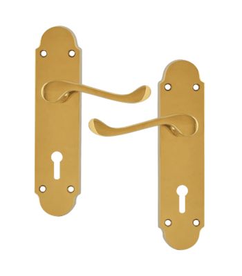 Asec Oakley Door Furniture Handle