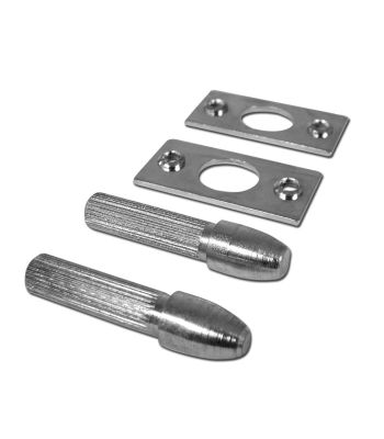 Asec Hinge Bolts Pair Bright Zinc