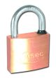 Asec Master Keyed 5 Pin Brass Padlock